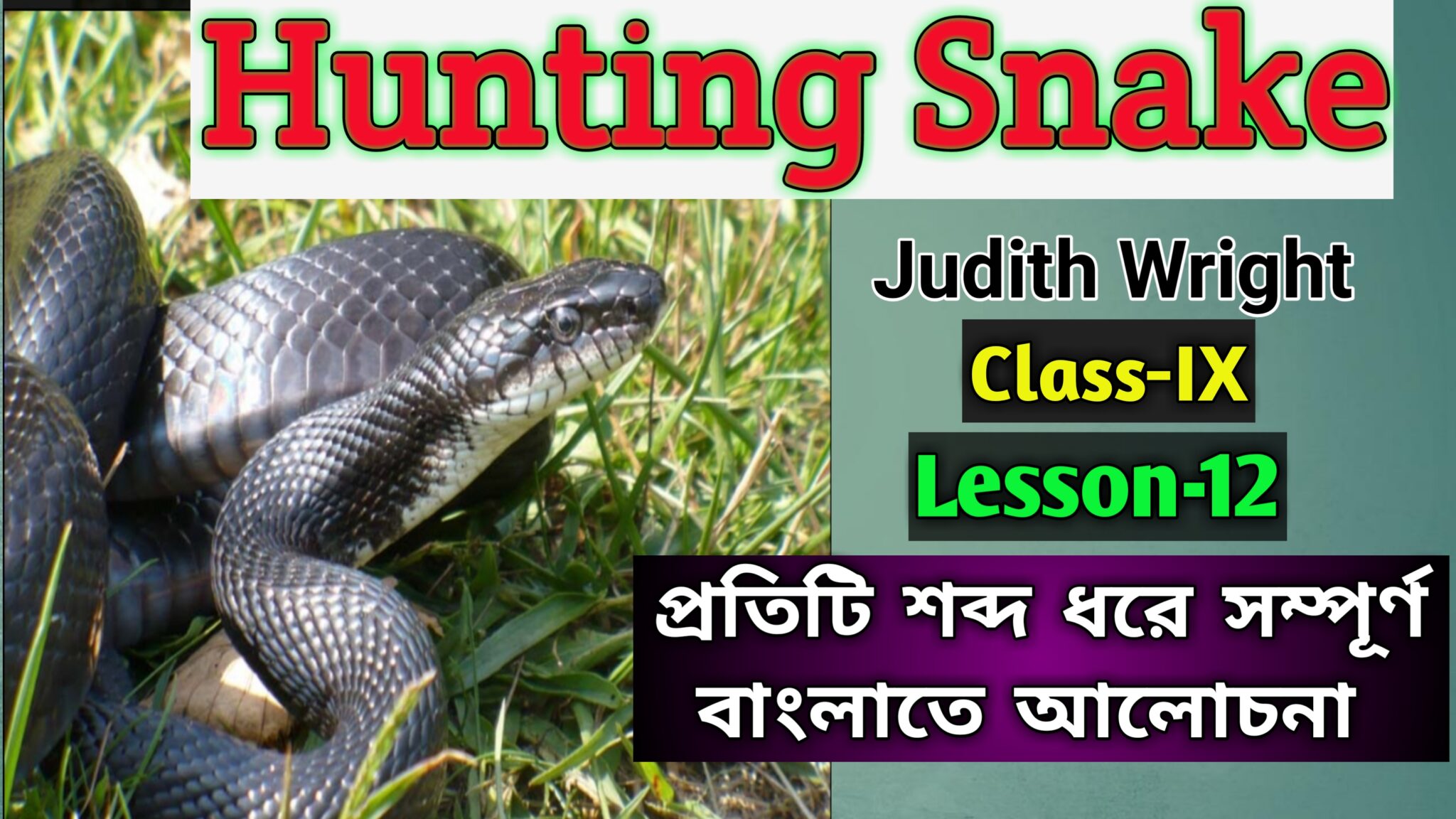 hunting-snake-by-judith-wright-bengali-meaning-for-class-9-study-solves