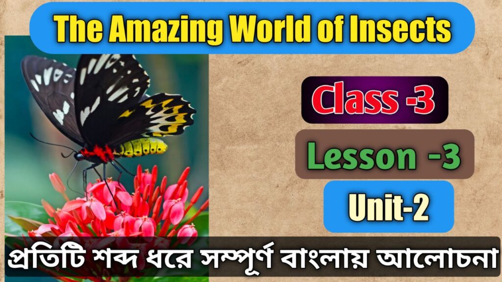 The Amazing World of Insects Bengali Meaning Class 3 Lesson 3 Unit II