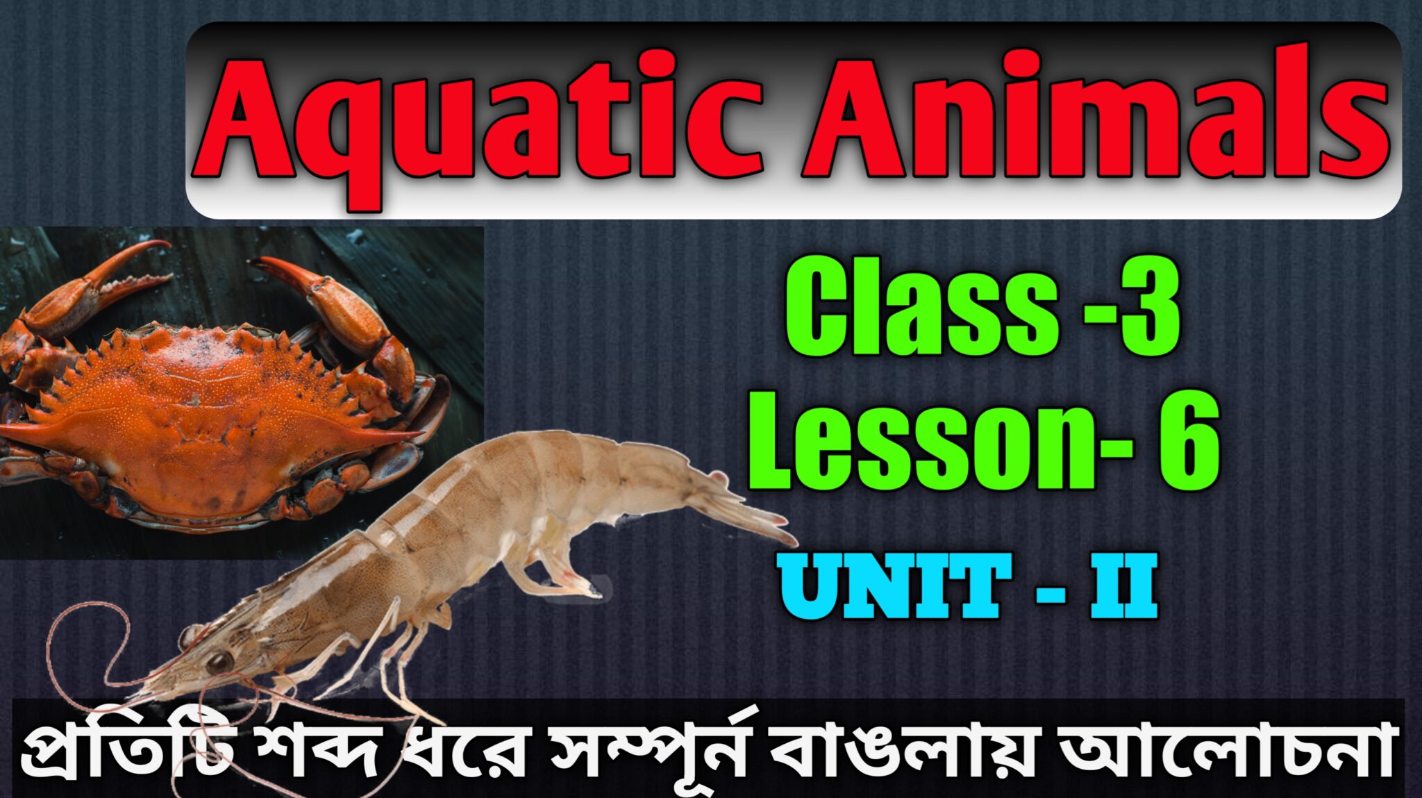 Aquatic Animals Bengali Meaning Class 3 Lesson 6 Unit II Study Solves